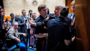 Pro-Palestinian Green Party Candidate’s Anti-Israel Agenda Fuels Senate Hearing Stunt