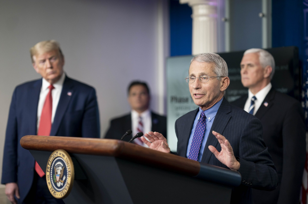 Gabbard’s Reminder: Don’t Forget About Fauci