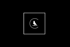 The Canary Mission