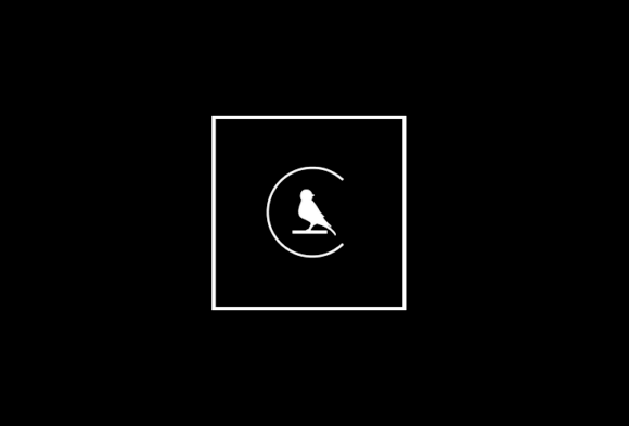 The Canary Mission