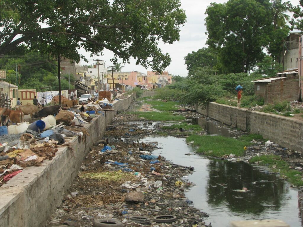 Environmentalists’ Misdirected Outrage