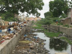 Environmentalists’ Misdirected Outrage
