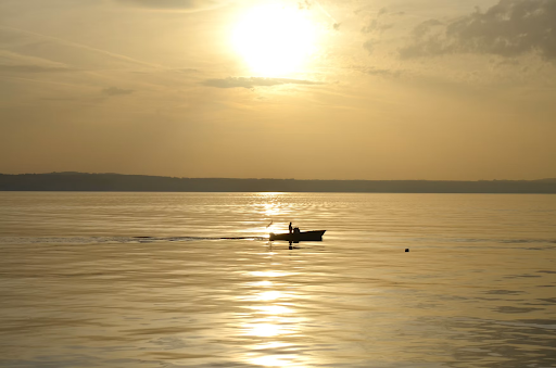 A Rising Tide Lifts Some Boats