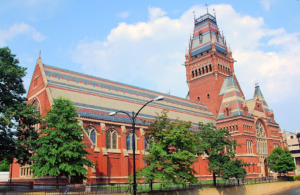 Big Companies Do Not Need Immigration of Foreign Graduates